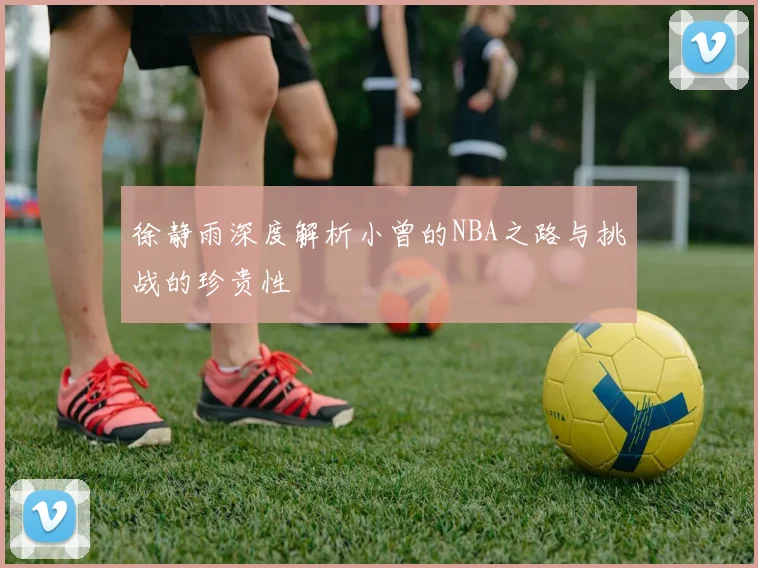 徐静雨深度解析小曾的NBA之路与挑战的珍贵性